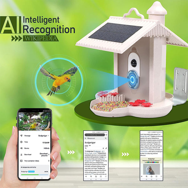 Mangiatoia per uccelli con fotocamera e riconoscimento uccelli AI per il giardino - Con cella solare integrata