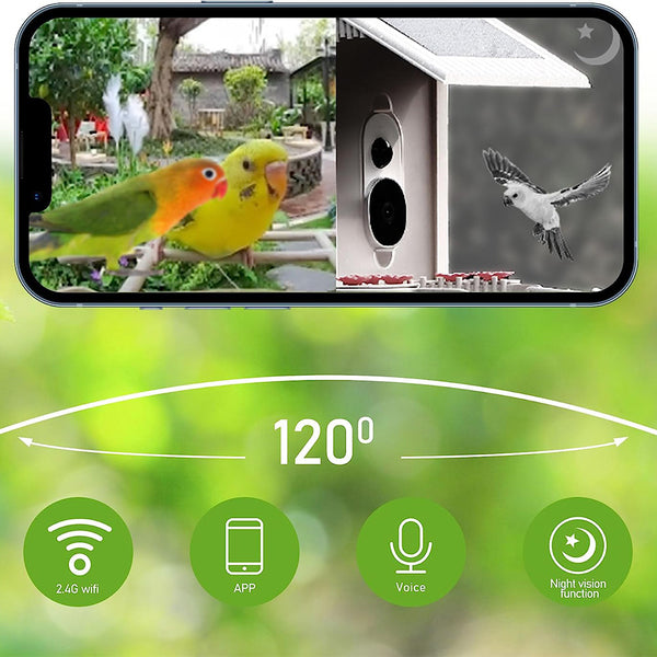 Mangiatoia per uccelli con fotocamera e riconoscimento uccelli AI per il giardino - Con cella solare integrata