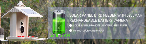 Mangiatoia per uccelli con fotocamera e riconoscimento uccelli AI per il giardino - Con cella solare integrata