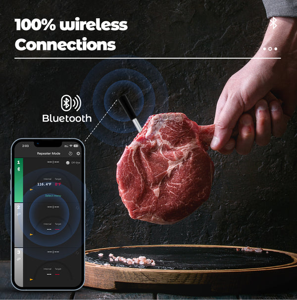 Thermomètre de cuisson et de friture - WIFI avec application de friture - Le répéteur assure une longue distance avec le mobile - Four, gril ou poêle.