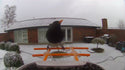 Krmítko pro ptáky s kamerou a umělým rozpoznáváním ptáků pro zahradu