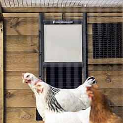 Kycklinglucka för hönshus - Chicken Guard