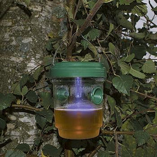 Capcane pentru viespi - mici cu lumină solară