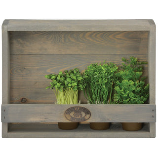 Κουτί φυτών για τον τοίχο - εξωτερικά και εσωτερικά
