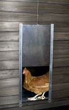 Hønselem til hønsehuse - Chicksafe - Alu