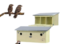 Nestbox / Vugelbox fir Spatzen - Modell D'Terrassenhaus